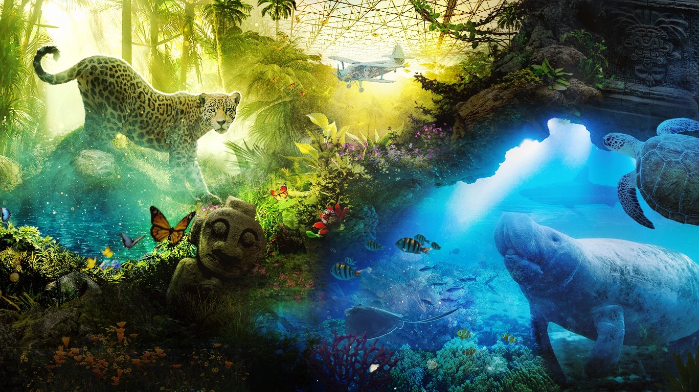 Illustratives Foto von Edenya